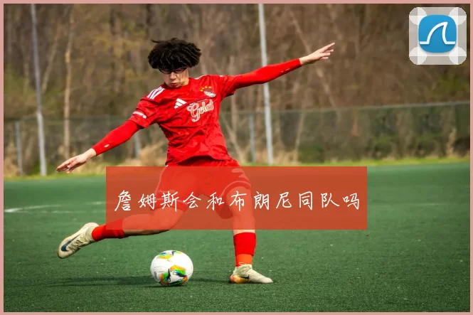 詹姆斯会和布朗尼同队吗