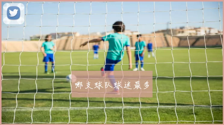 哪支球队球迷最多