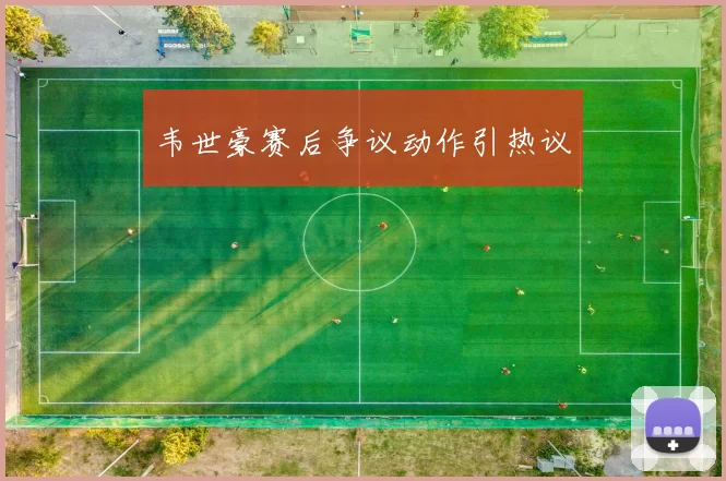 韦世豪赛后争议动作引热议