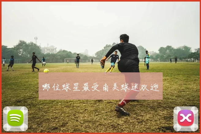 哪位球星最受南美球迷欢迎